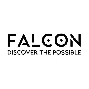 Falcon Premium Gasgrill aus dem Hause Grillcenter Dürrernäsch